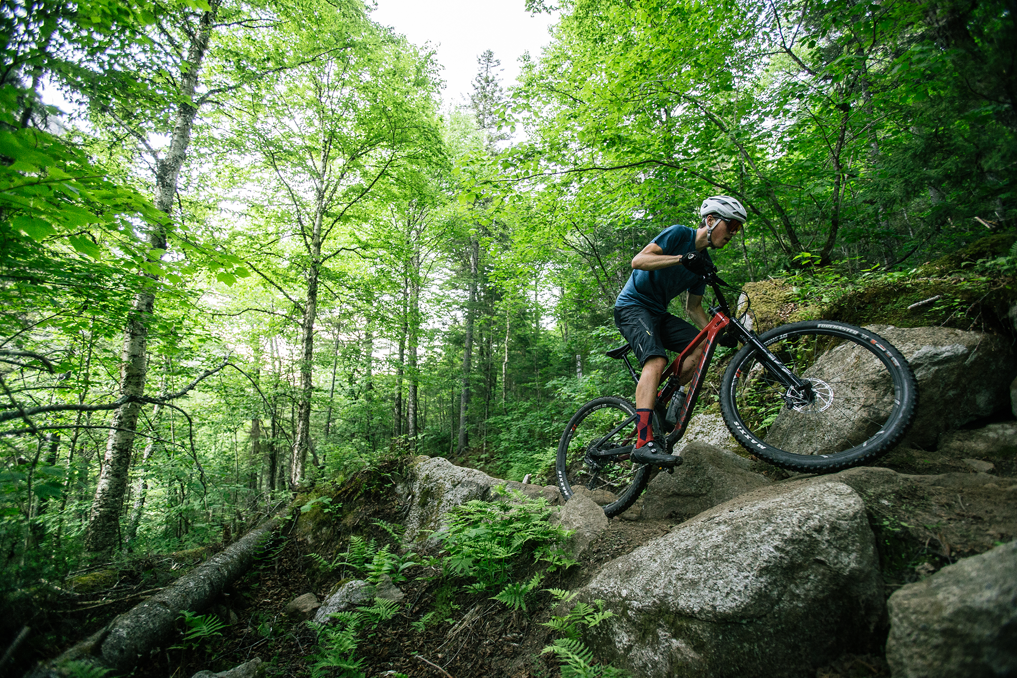 Norco top bigfoot 4.3