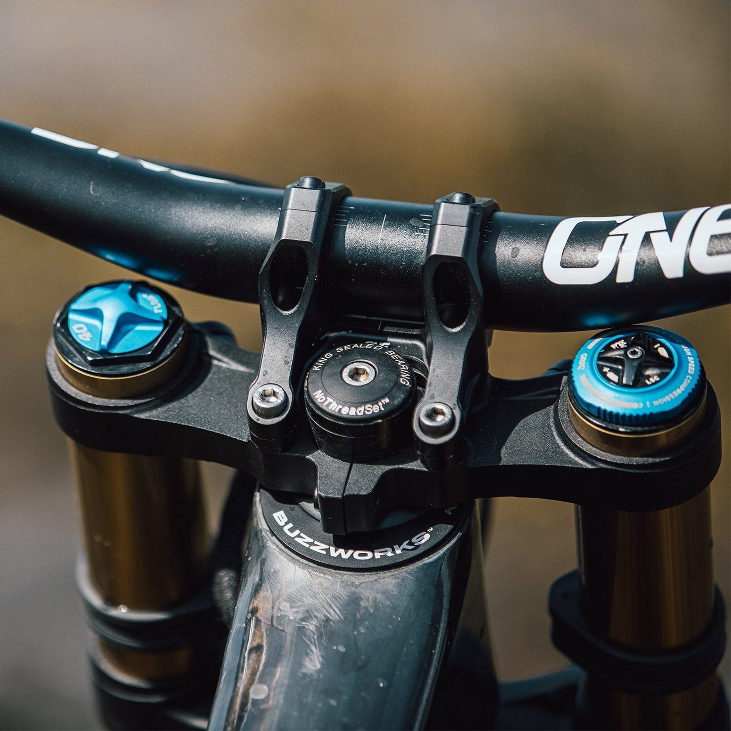 Direct Mount Stem