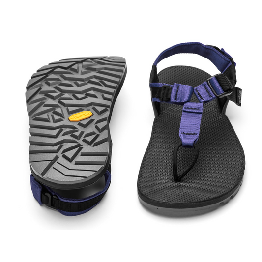 Bedrock Sandals Evo Pro in Lupine Purple Colour