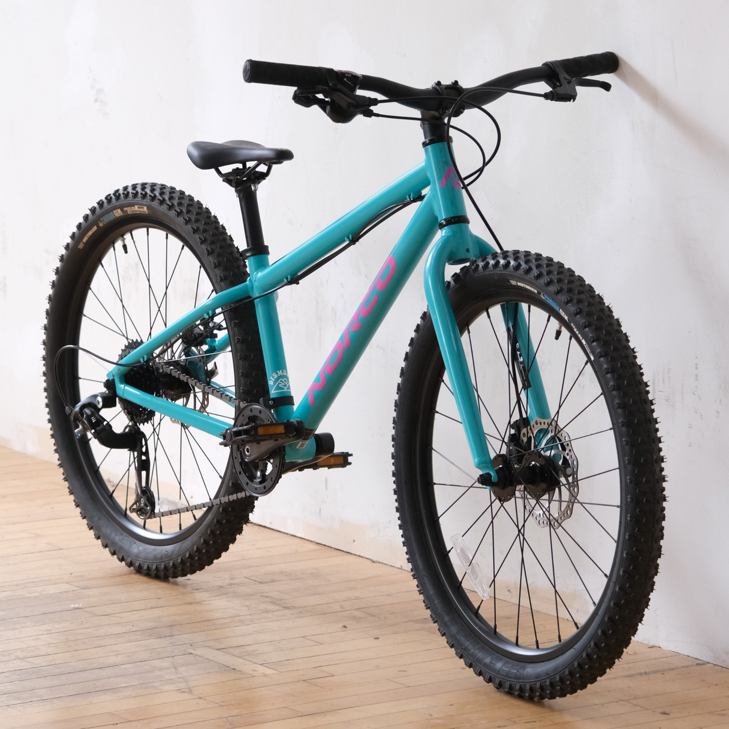 Norco Storm Disc 24 Teal front side view