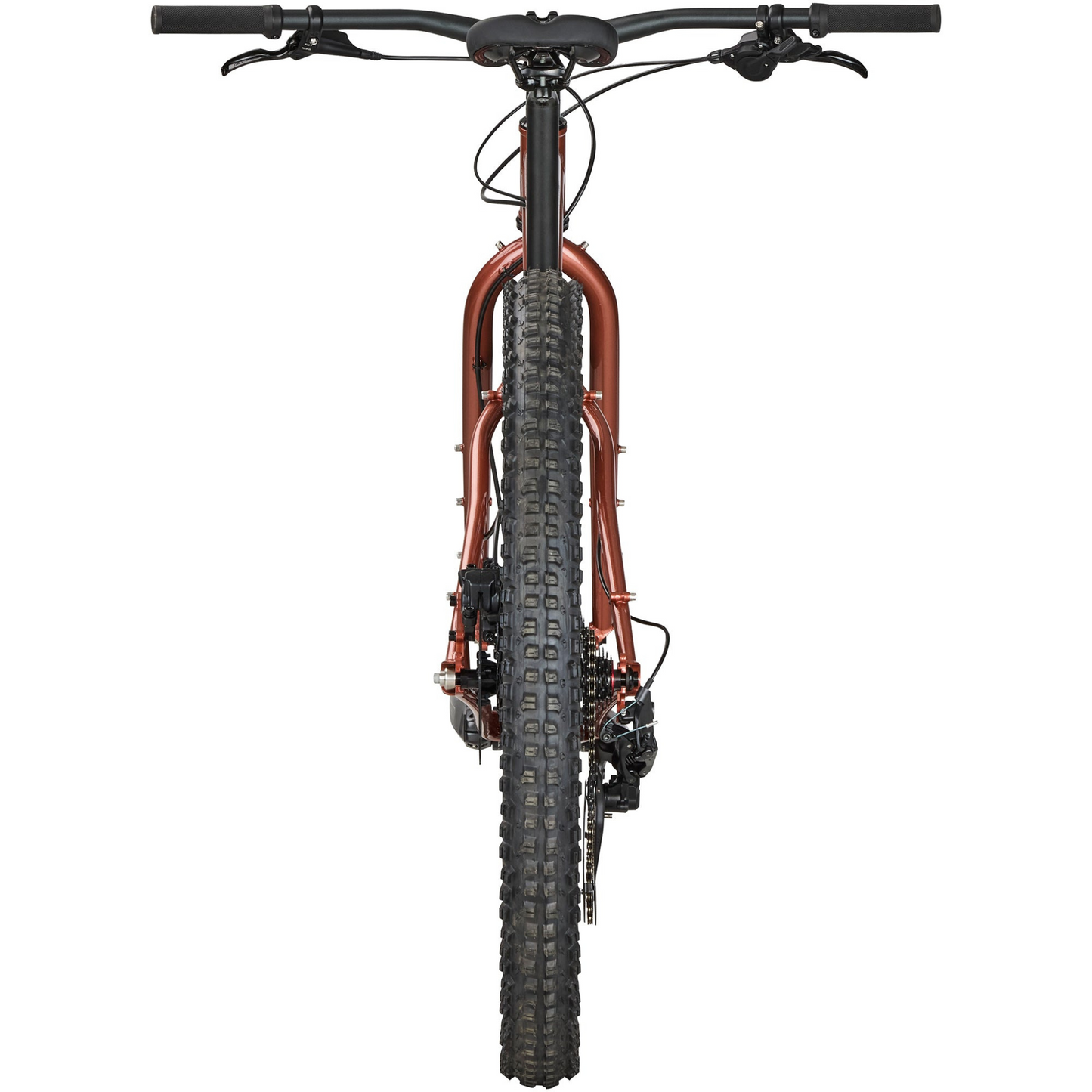 Surly Krampus Rigid in Chester Copperpot Rear Profile