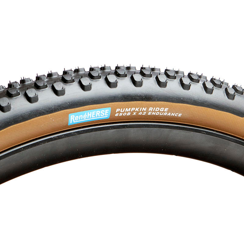 Pumpkin Ridge 650B x 42