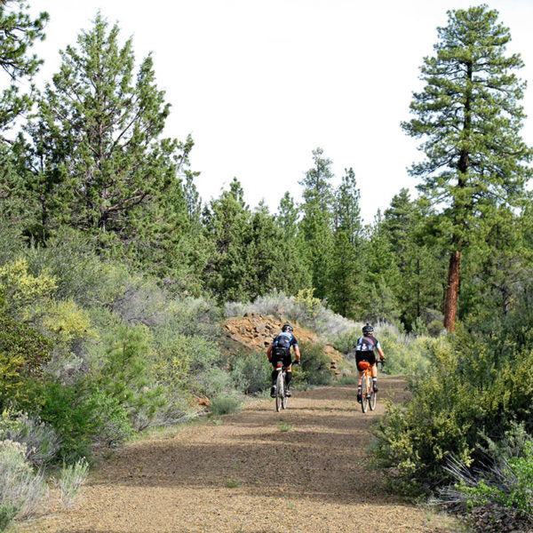 Switchback Hill 650B x 48