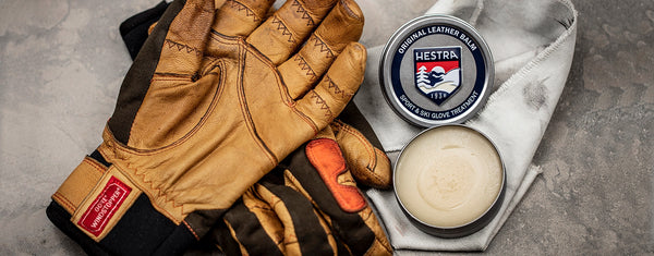 In Good Hands: Introducing Hestra!