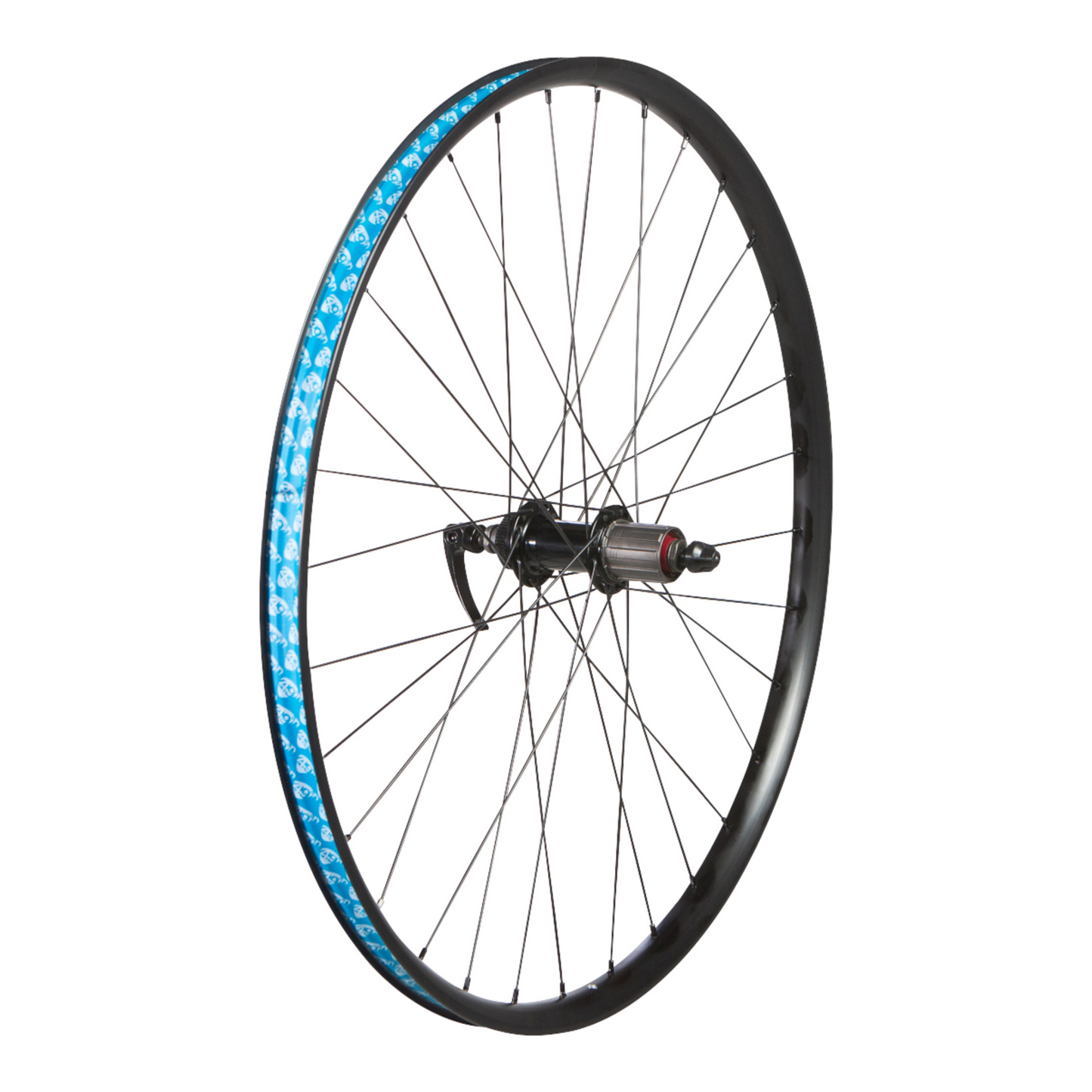 Bicycle rear wheel with blue rim tape on a white background