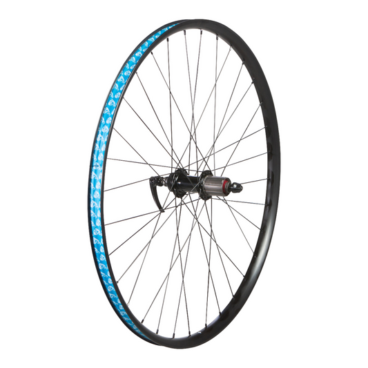 Bicycle rear wheel with blue rim tape on a white background