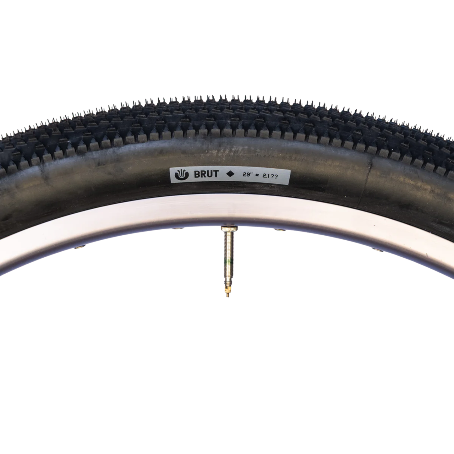 Close up of Ultradynamico Brut Robusto black side wall tubeless ready tire for gravel
