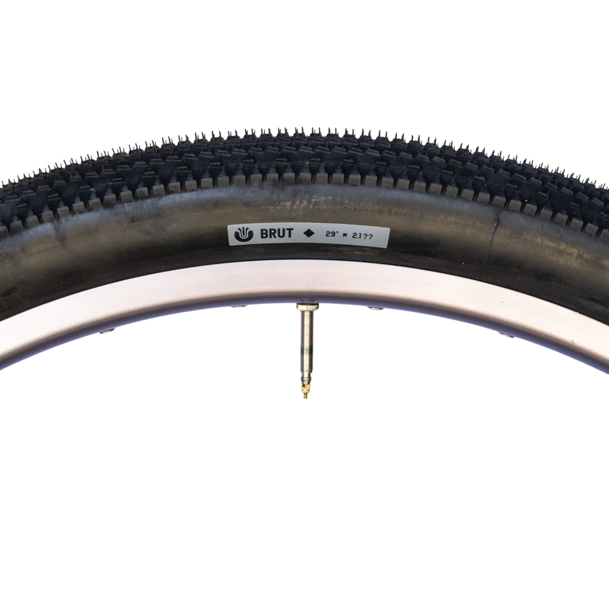 Close up of Ultradynamico Brut Robusto black side wall tubeless ready tire for gravel