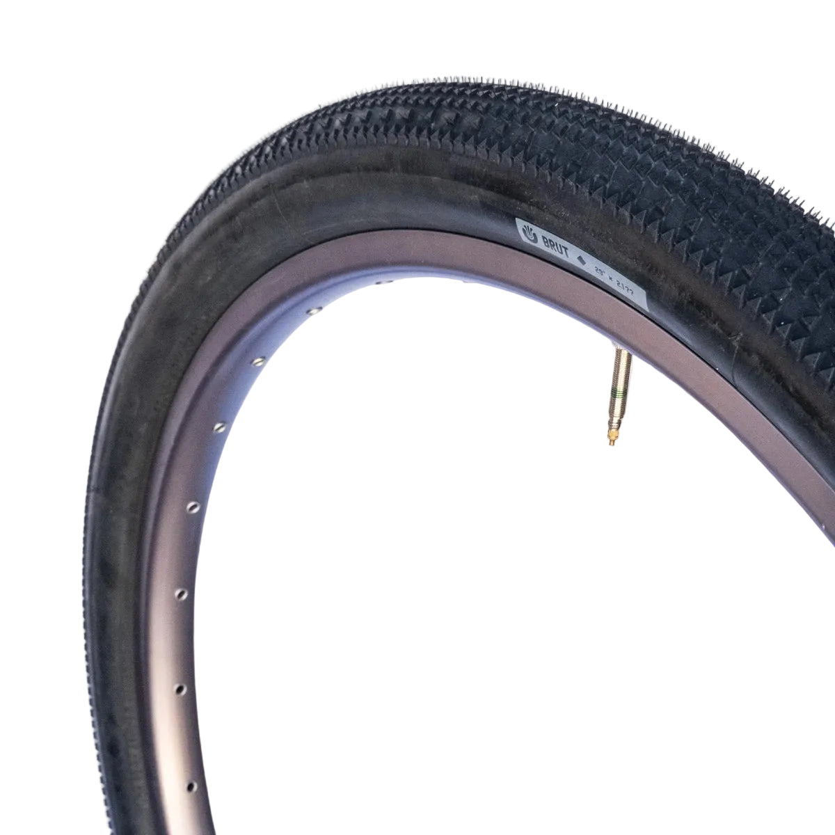 Close up of Ultradynamico Brut Robusto black side wall tubeless ready tire for gravel