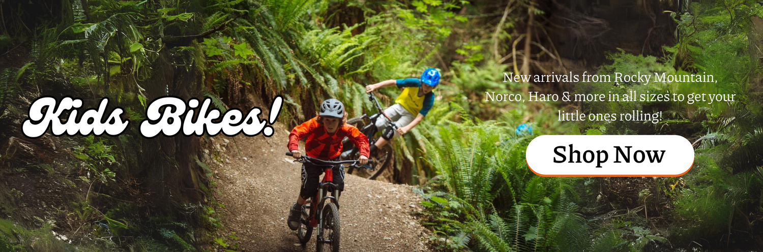 Dismount bike deals shop