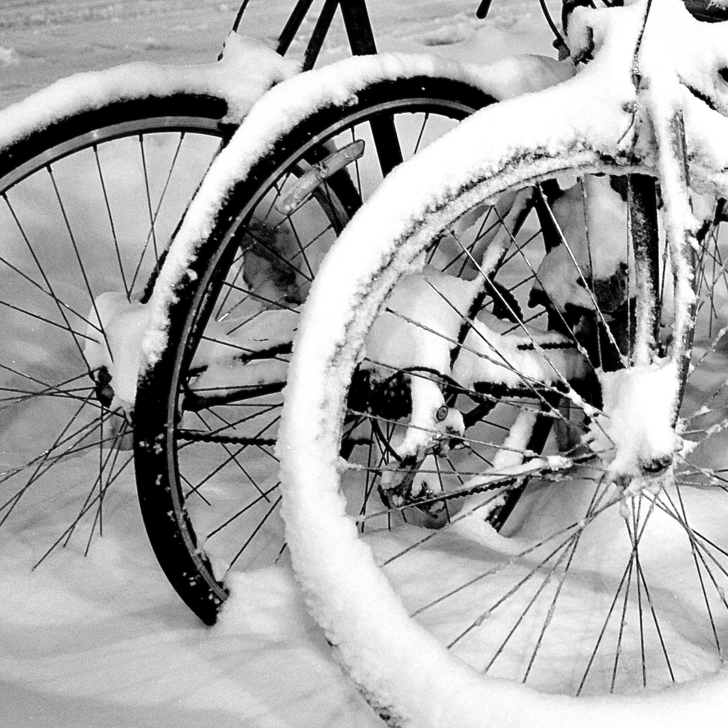 Winter Storage Package