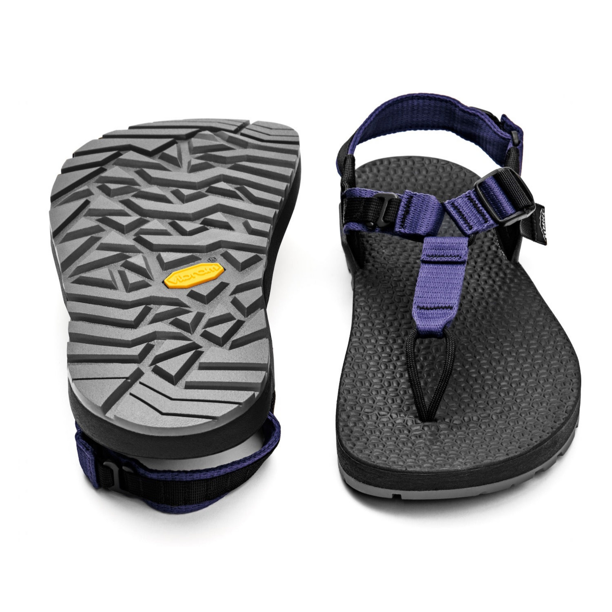 Bedrock Cairn Evo 3D Pro Sandals in Lupine Purple Colour