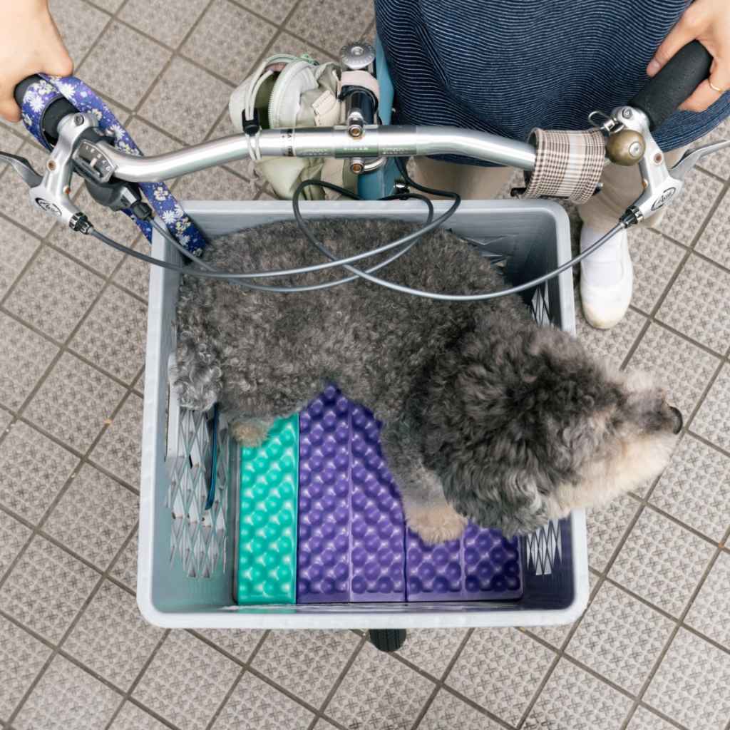 Blue Lug Puff Seat folding foam seat pad in green and purple. Foldable camping seat for on the go and bike rides. Fits Wald basket.