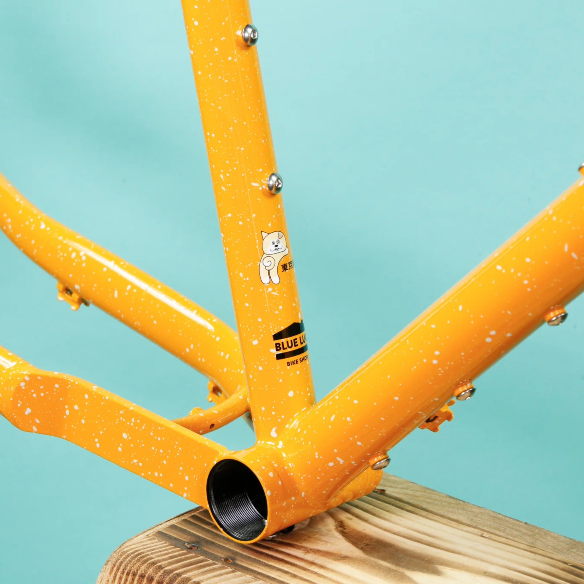 Crust Bikes Evasion frameset bottom bracket shell view