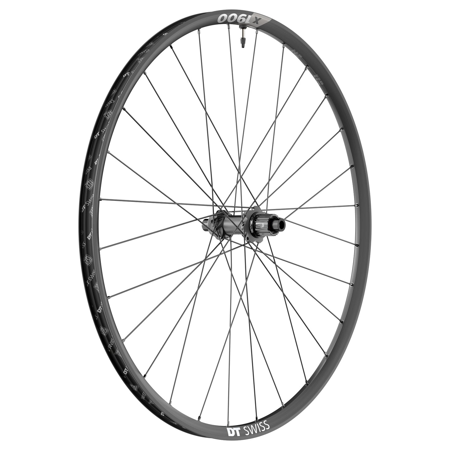 DT Swiss X 1900 SPLINE 29 rear wheel Shimano HG