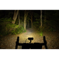 Bicycle headlight illuminating a dark forest path