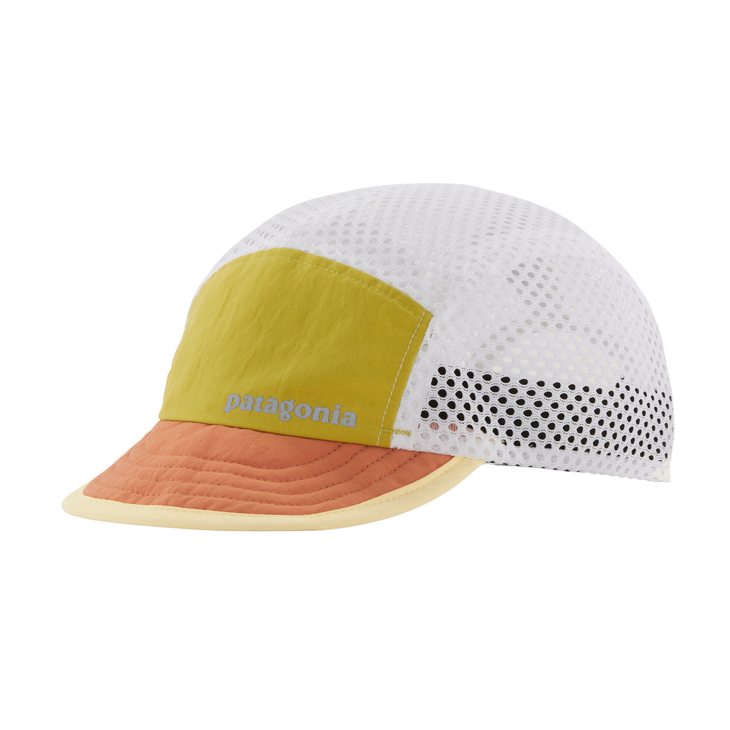 Patagonia Duckbill Cap in Bundle Green colour