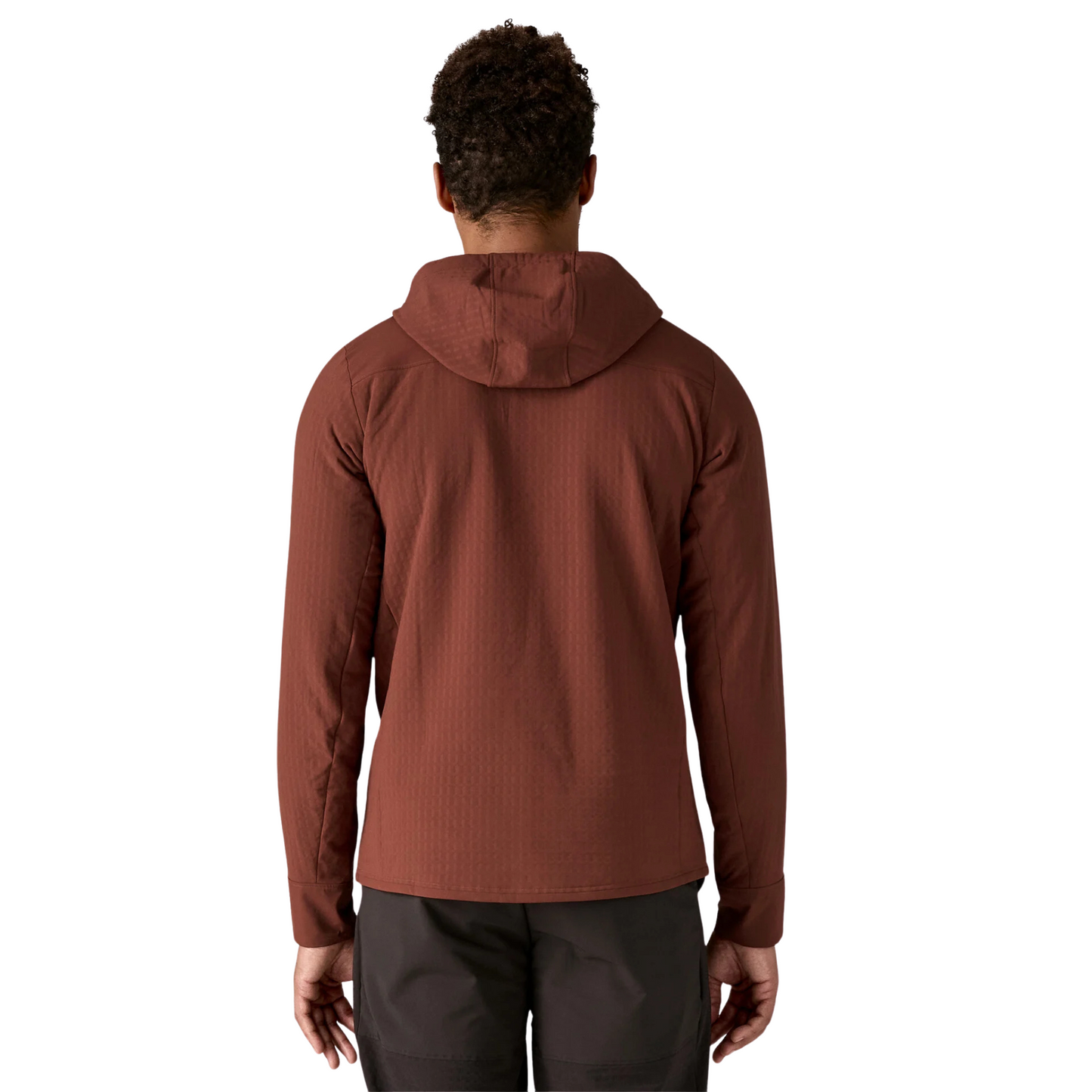 Patagonia Men’s R2 TechFace Pullover Midlayer Fleece in dried vanilla , back