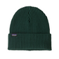 Patagonia Fisherman’s Rolled Beanie in Cascade Green colour