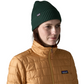 Patagonia Fisherman’s Rolled Beanie in Cascade Green colour worn by model, front