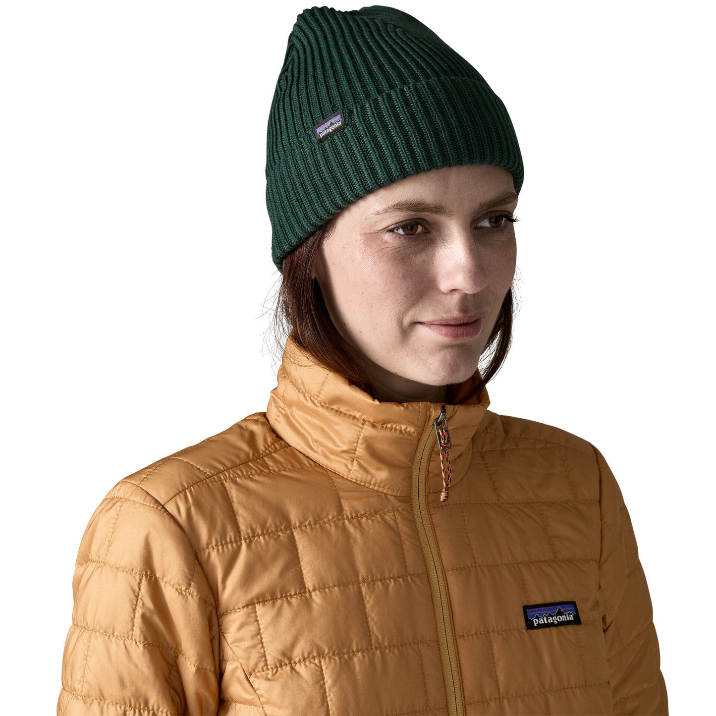 Patagonia Fisherman’s Rolled Beanie in Cascade Green colour worn by model, front