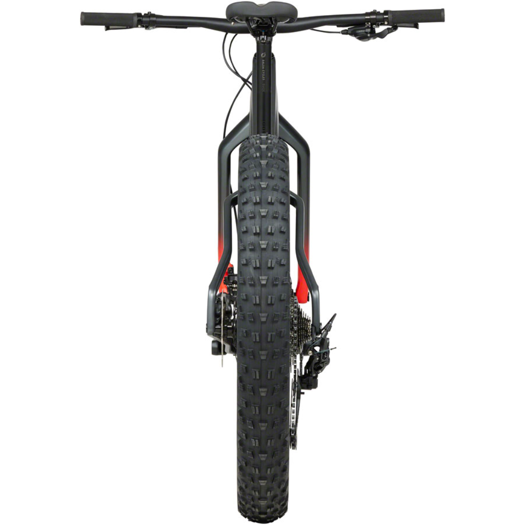 Salsa bearpaw fork sales