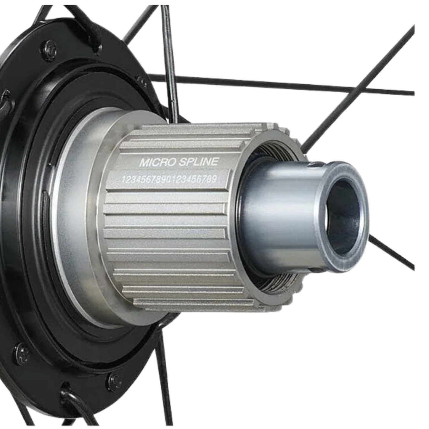 Shimano RX880 12-speed Microspline freehub detail