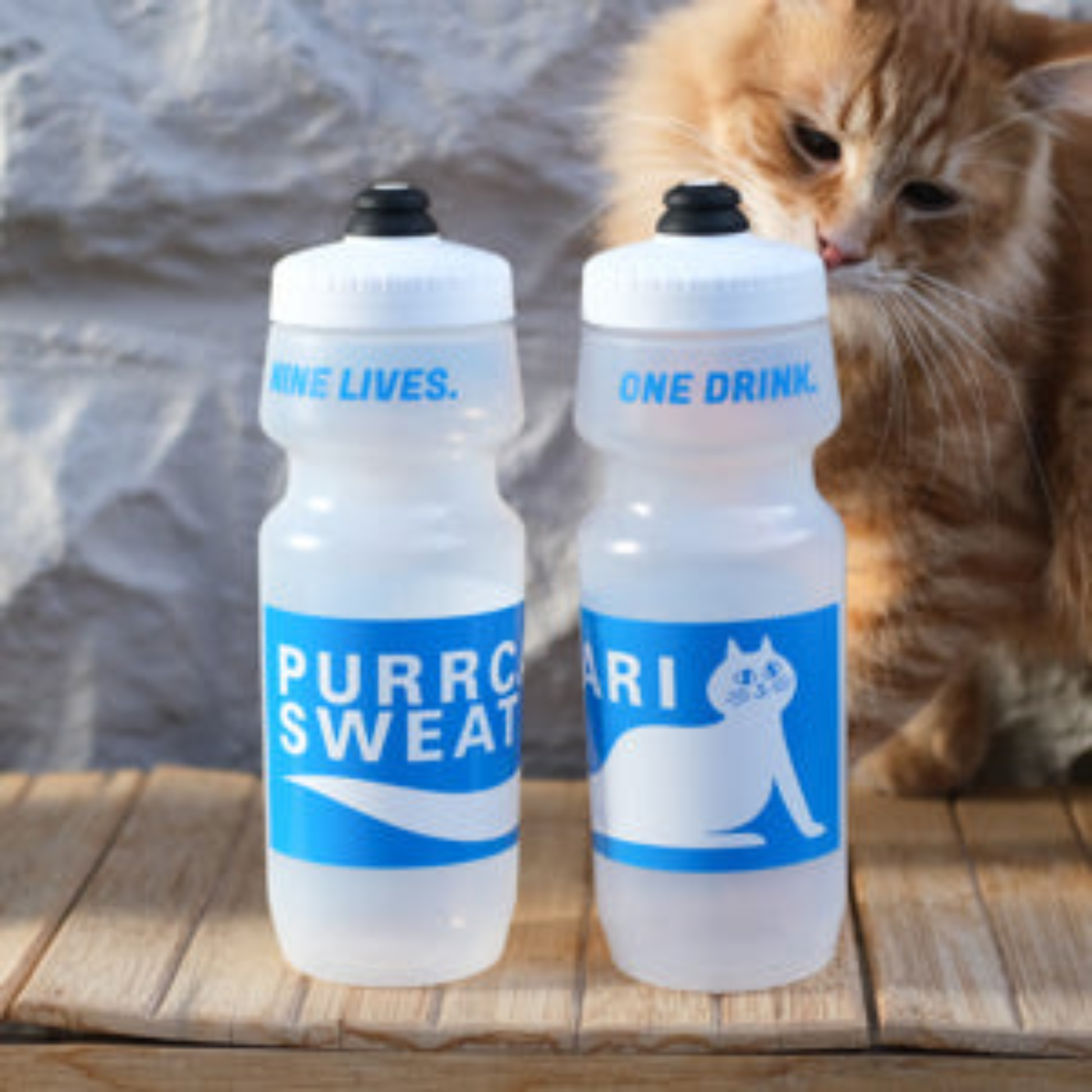 Two SimWorks Purrcari Sweat 24 oz cycling water bottle with illustrated graphic, and a cat in background