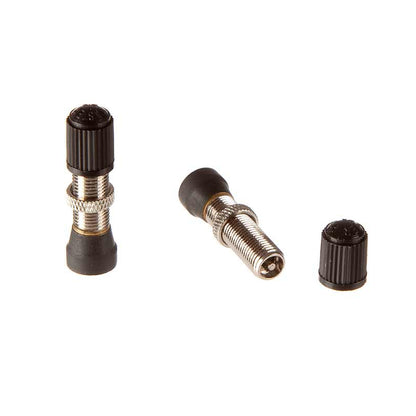 Stan’s tubeless Schrader valve brass one valve standing and one laying without covering cap