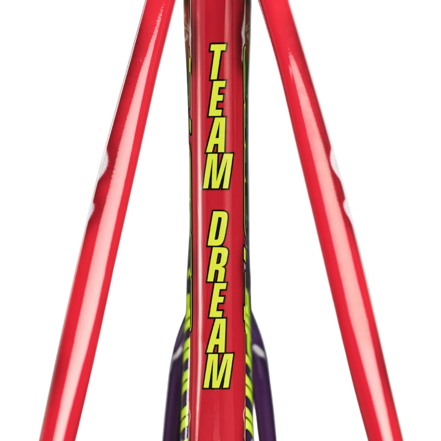 Cannondale CAAD14 Team Dream aluminum road frameset with full-carbon Delta Steerer fork, UDH dropout, BSA bottom bracket and 32mm tire clearance