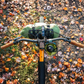 Teravail Swale alloy flat handlebar installed on a bike rider's point of view