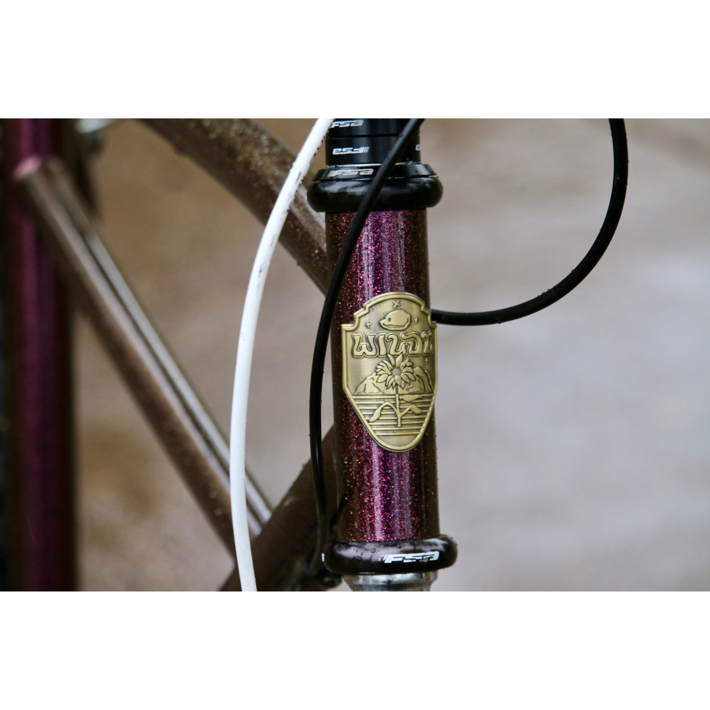 Wilde Moto Cruiser steel frameset, head badge detail
