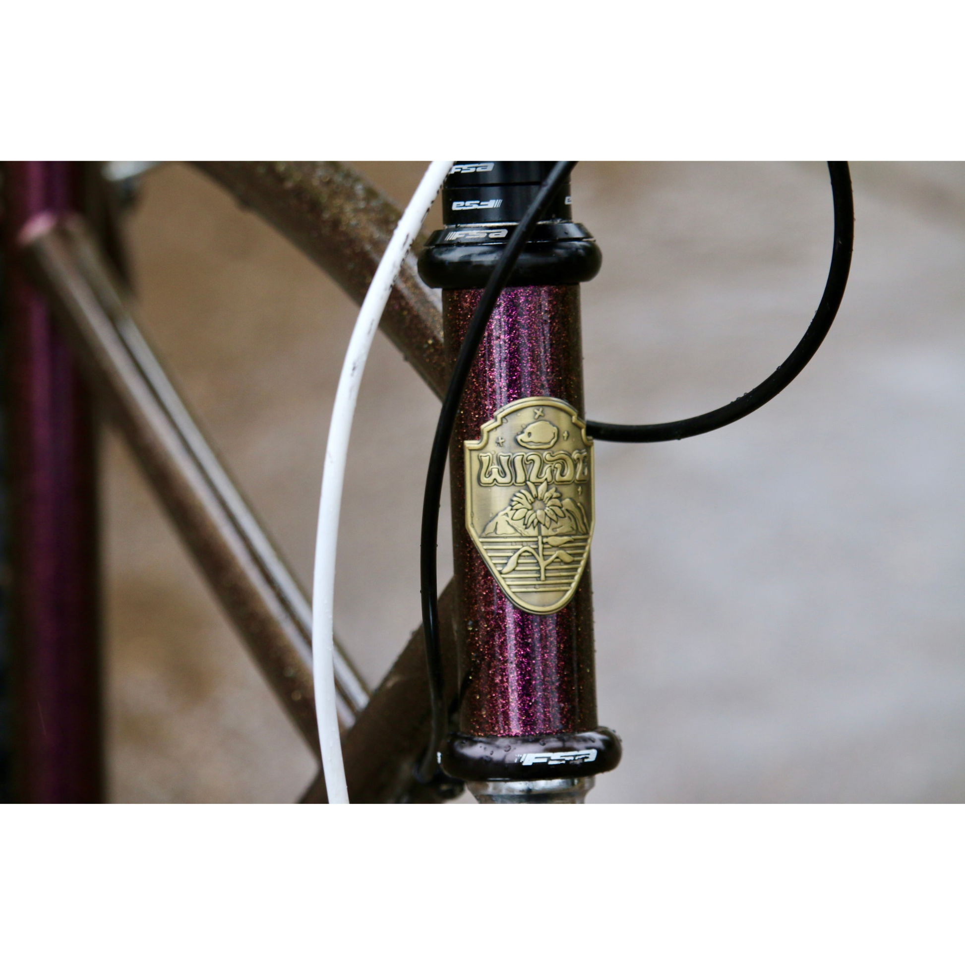 Wilde Moto Cruiser steel frameset, head badge detail
