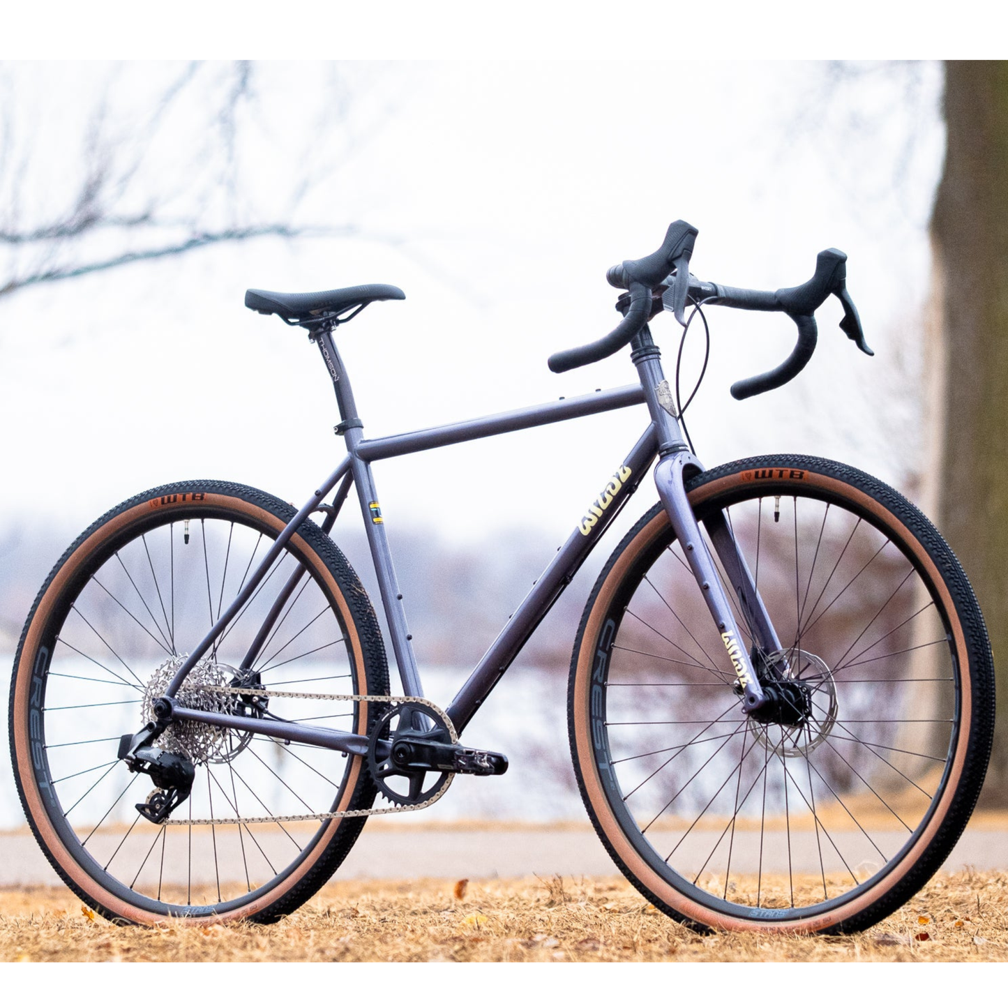 Wilde Rambler SL in Moondust Disco complete build side profile