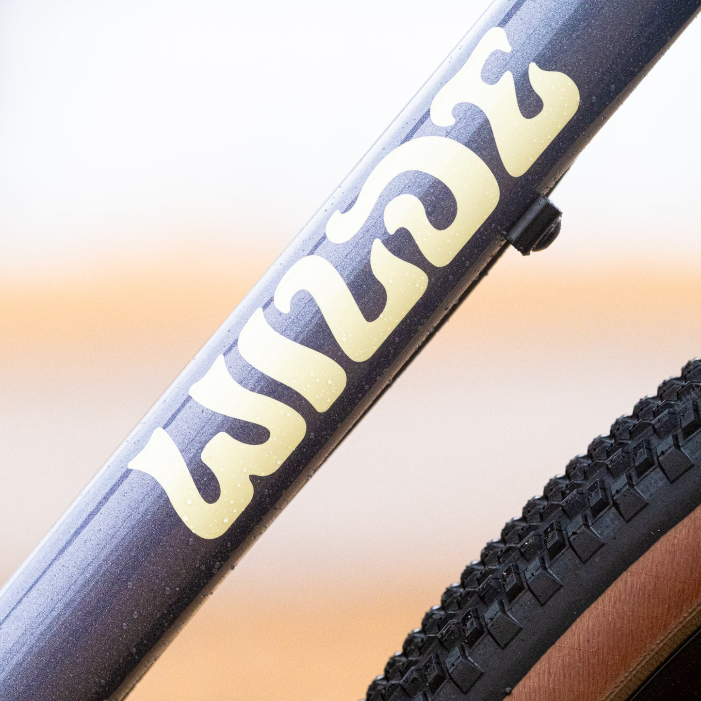 Wilde Rambler SL in Moondust Disco, Wilde branding detail