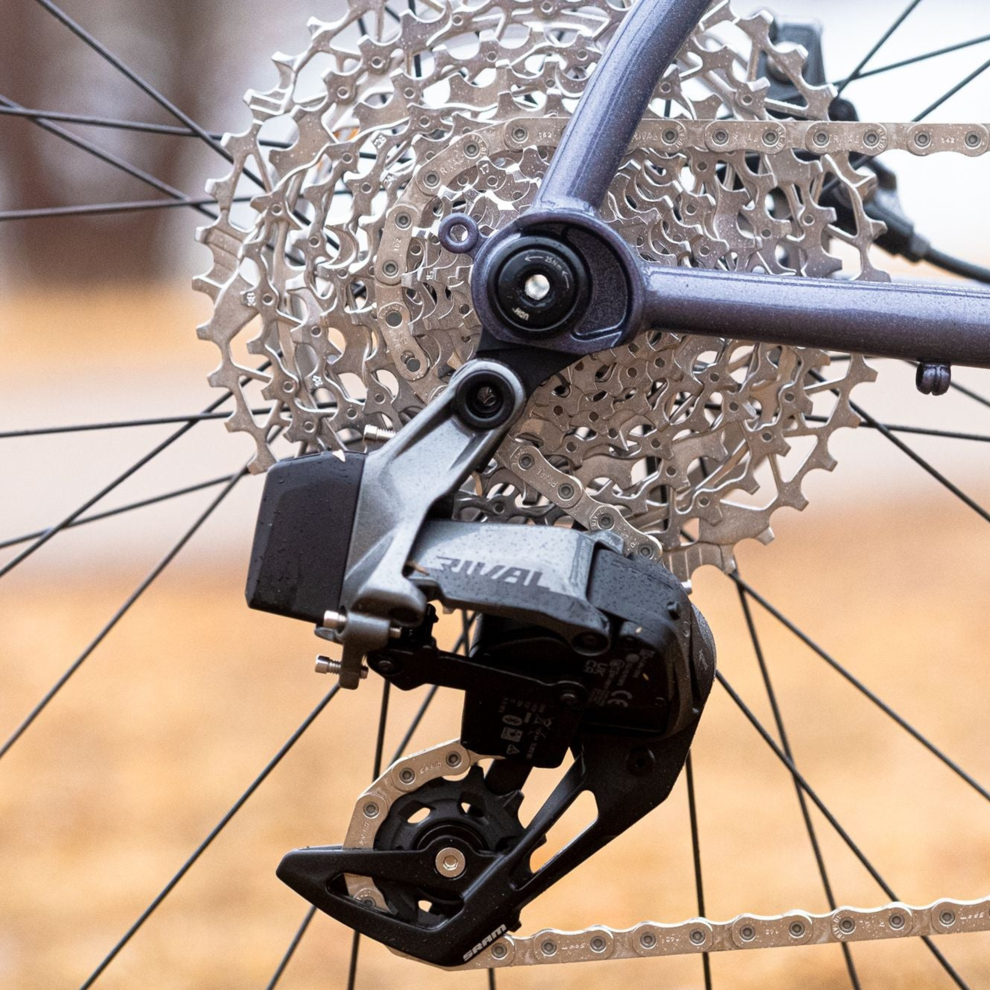 Wilde Rambler SL in Moondust Disco rear hanger detail