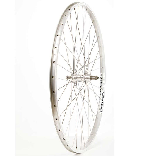 Alex DM18 Silver/Stainless Silver - Rear Wheel