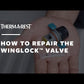 WingLock Valve Repair Kit